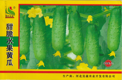 Fruit Cucumber / Pipino Variety Vegetable Seeds (30 seeds) - Basic Farm House