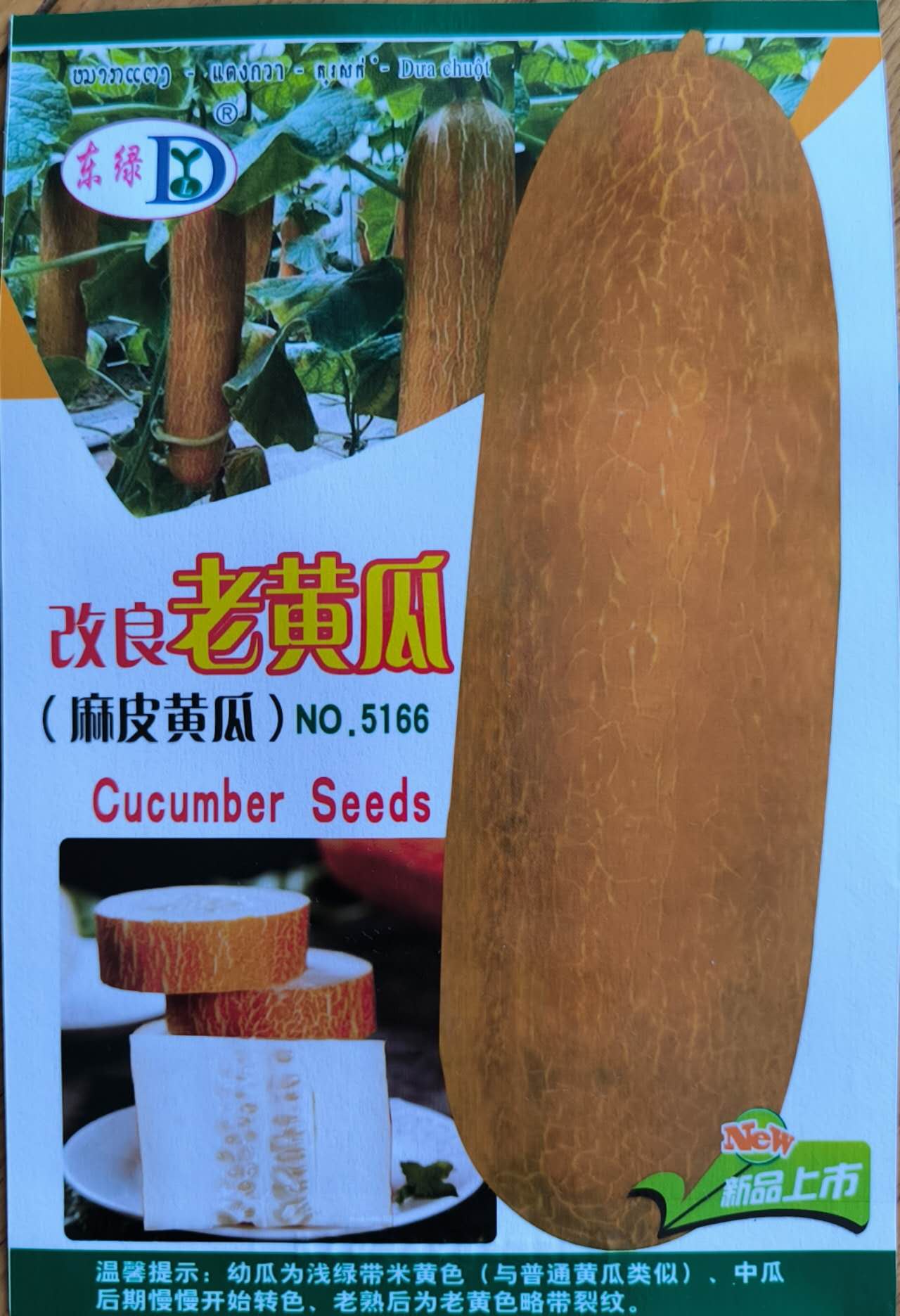 Yellow Golden Fruit Cucumber Pipino Seeds ( 20 seeds ) - Basic Farm House