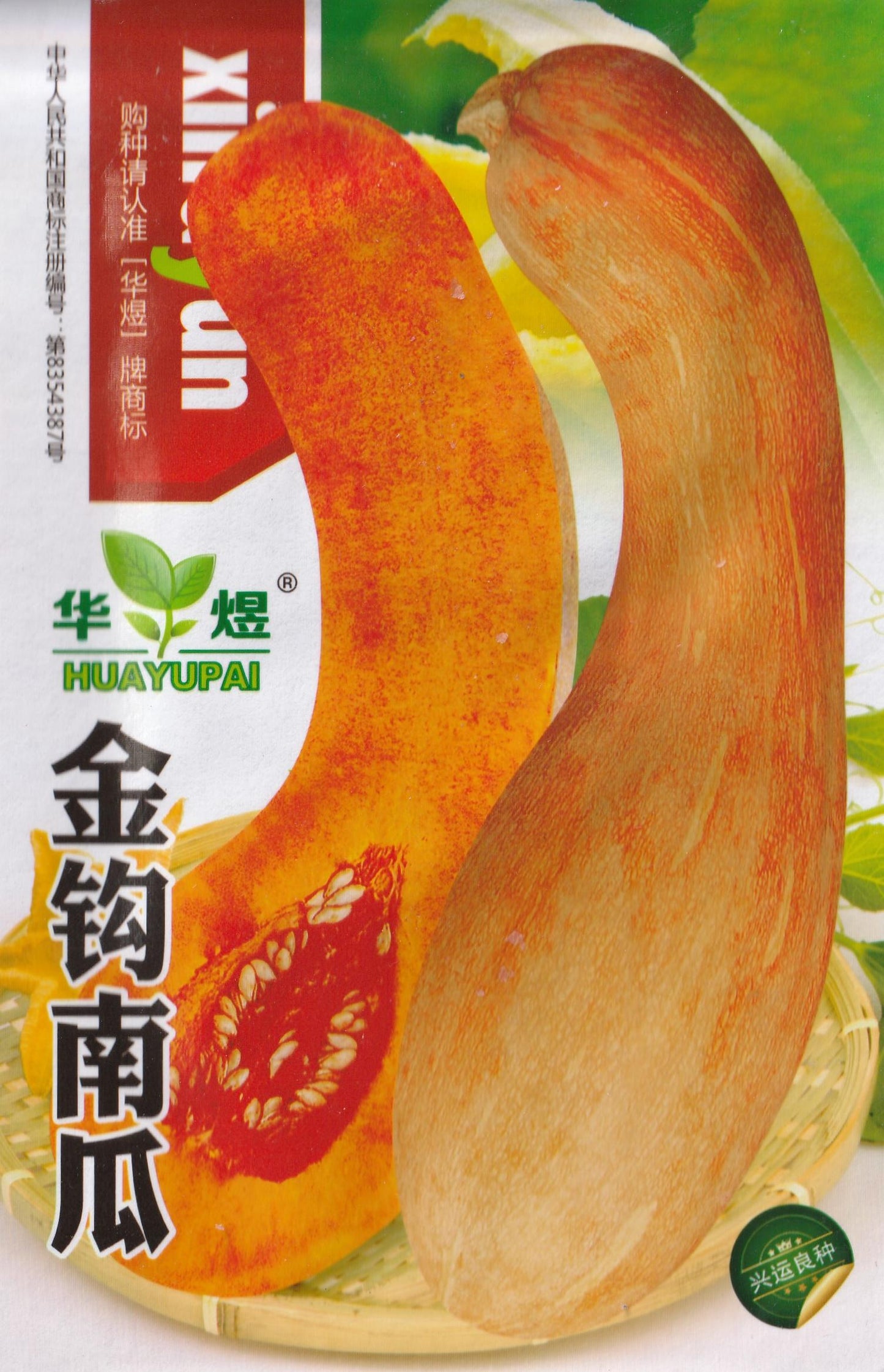 Golden Hook Sweet Pumpkin Kalabasa Vegetable Variety Seeds ( 20 seeds ) - Basic Farm House