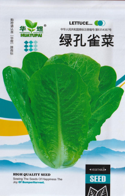 Great Romaine Green Leaf Lettuce Salad Vegetable Seeds (2200 seeds) - Basic Farm House