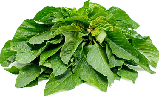 Premium Pack Green Amaranth Kulitis Variety Vegetable Seeds ( 10000 seeds ) - Basic Farm House