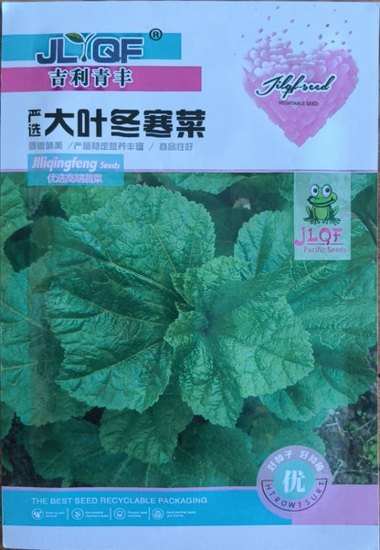 Green Korean Curled Mallow Vegetable Seeds ( 1500 seeds ) - Basic Farm House