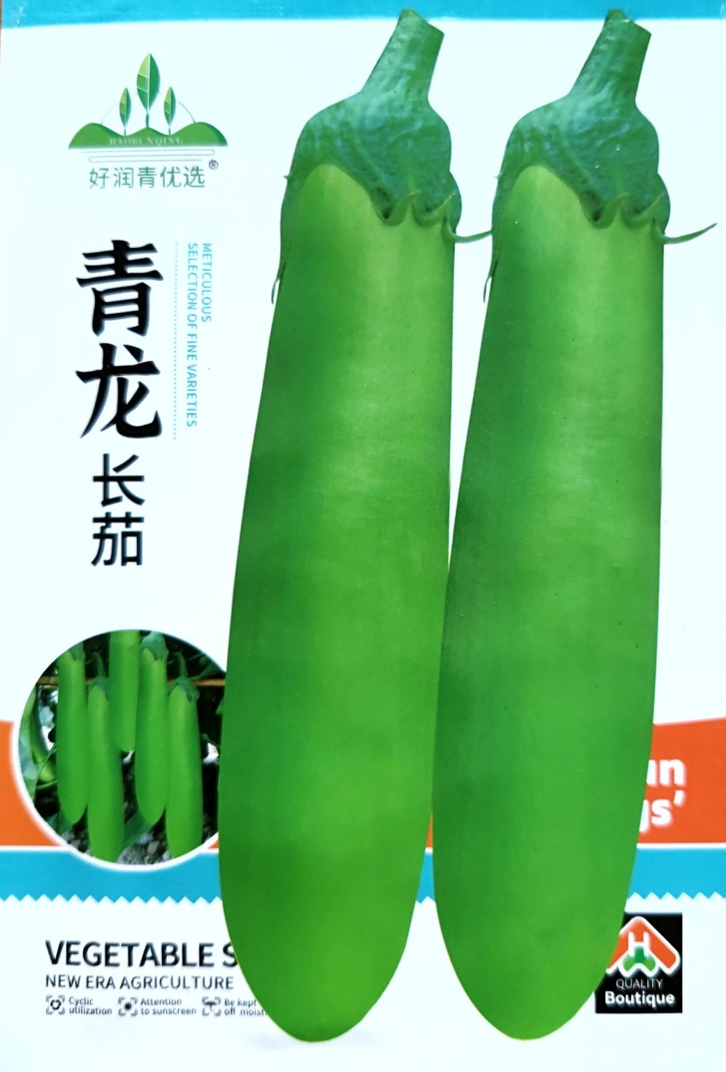 Emerald Green Long Eggplant Vegetable Seeds (100 seeds) - Basic Farm House