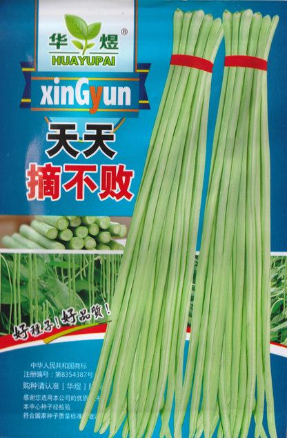 Green Long Beans Sitao Vegetable Seeds (40 seeds) - Basic Farm House
