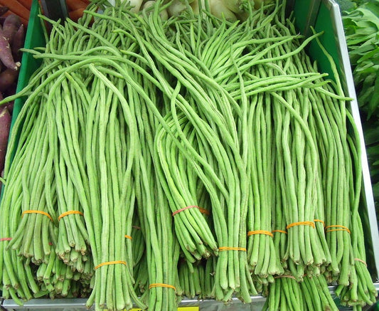 Green Long Beans Sitao Vegetable Seeds (40 seeds) - Basic Farm House