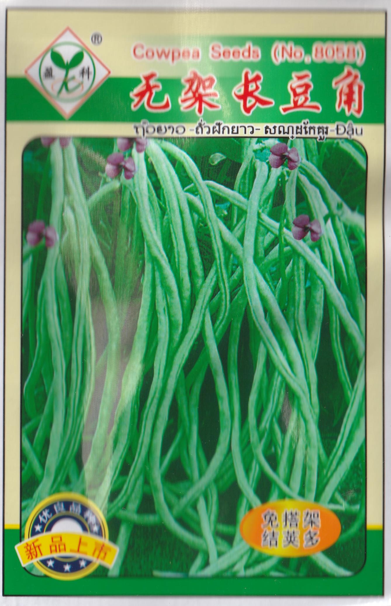 Dwarf Frameless Chinese Long Green Beans Vegetable Seeds ( 30 seeds ) - Basic Farm House