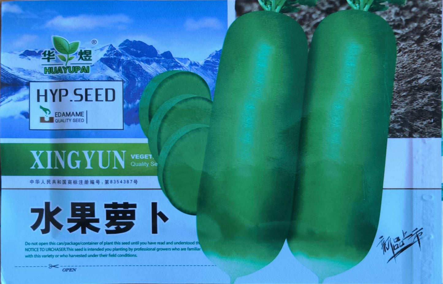 RARE Korean Sweet Green Water Fruit Radish Labanos Variety Seeds (300 seeds) - Basic Farm House