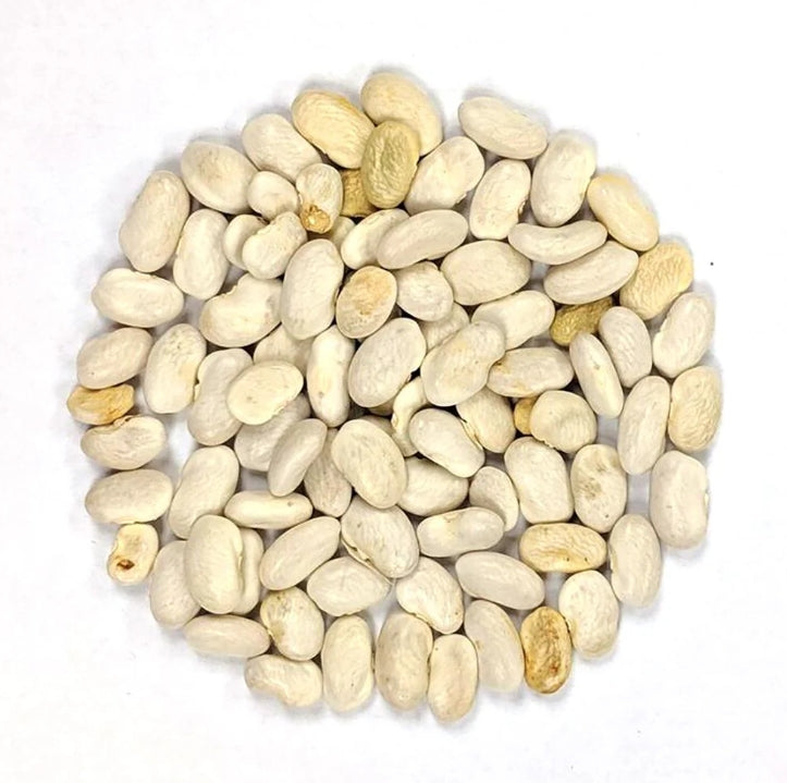 Italian Green Romano Beans Vegetable Seeds (15 seeds) - Basic Farm House