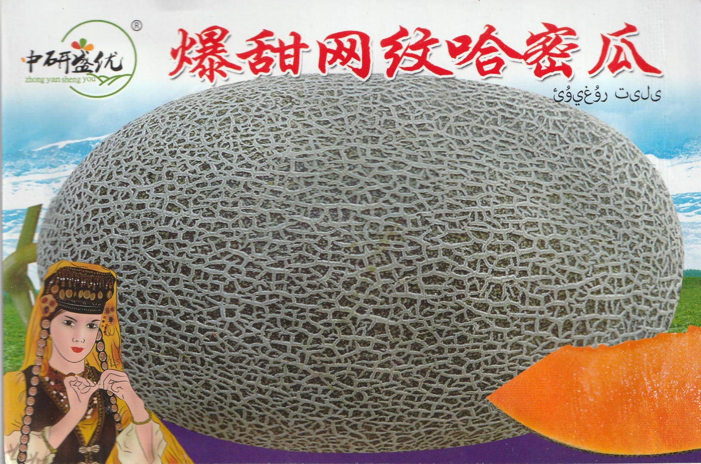 Cantaloupe Netted Melon Fruit Vegetable Seeds (50 seeds) - Basic Farm House