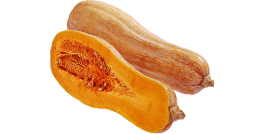 RARE Honey Pumpkin Vegetable Variety Seeds ( 20 seeds ) - Basic Farm House