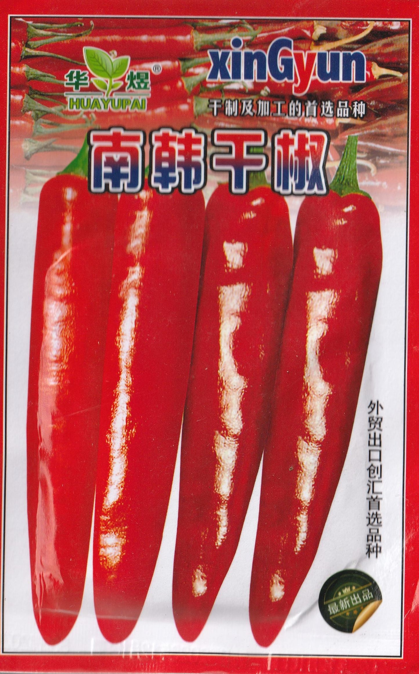 Korean Hot Red Chili Pepper Vegetable Seeds (500 seeds) - Basic Farm House