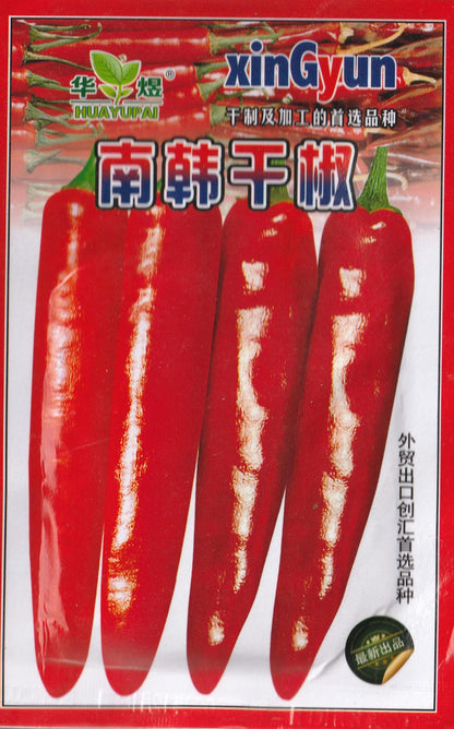 Korean Hot Red Chili Pepper Vegetable Seeds (500 seeds) - Basic Farm House