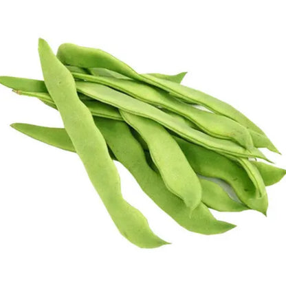 Italian Green Romano Beans Vegetable Seeds (15 seeds) - Basic Farm House