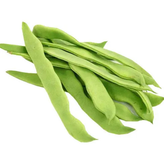 Italian Green Romano Beans Vegetable Seeds (15 seeds) - Basic Farm House