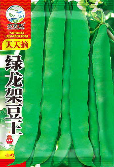 Italian Green Romano Beans Vegetable Seeds (15 seeds) - Basic Farm House