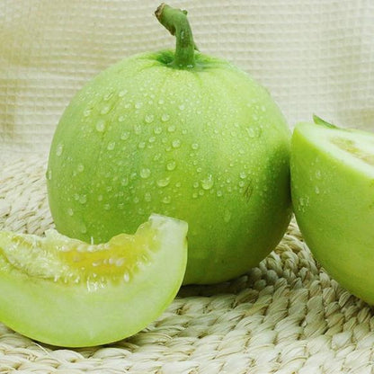 RARE Taiwan Japanese Sweet Green Treasure Melon Fruit Vegetable Seeds (30 seeds) - Basic Farm House