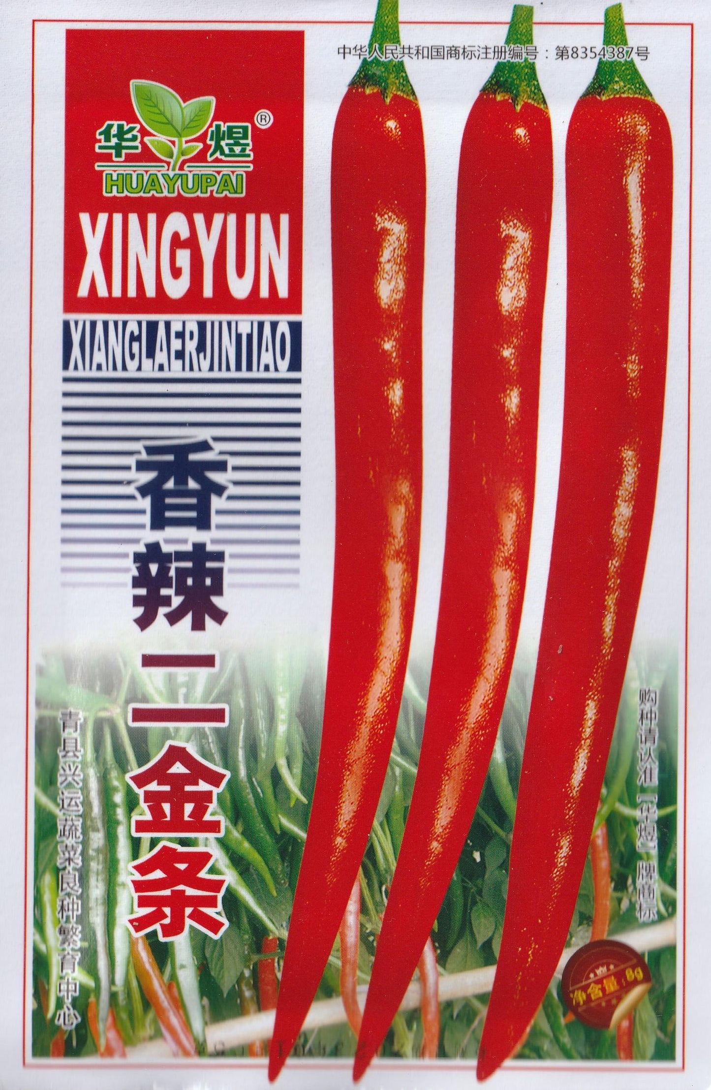 Korean Hot Red Chili Jinfeng Pepper Sili Vegetable Seeds (200 seeds) - Basic Farm House