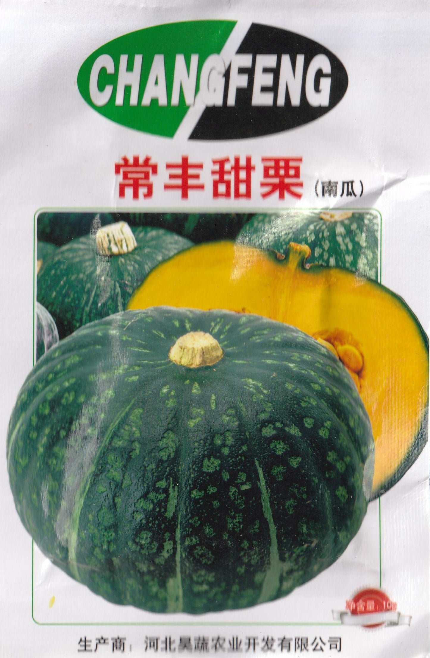 Sweet Chestnut Pumpkin Kalabasa Vegetable Seeds (10 seeds) - Basic Farm House