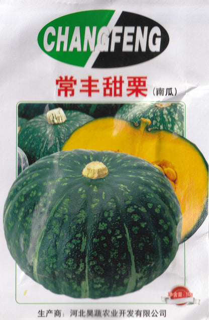 Sweet Chestnut Pumpkin Kalabasa Vegetable Seeds (10 seeds) - Basic Farm House