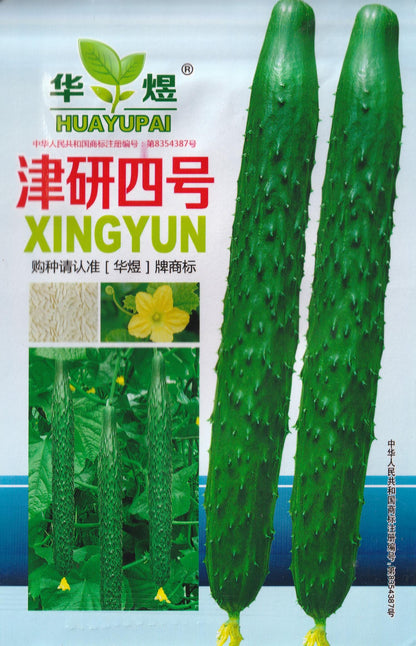 Japanese Korean Long Pickling Cucumber Pipino Suyo Salad Vegetable Seeds (40 seeds) - Basic Farm House