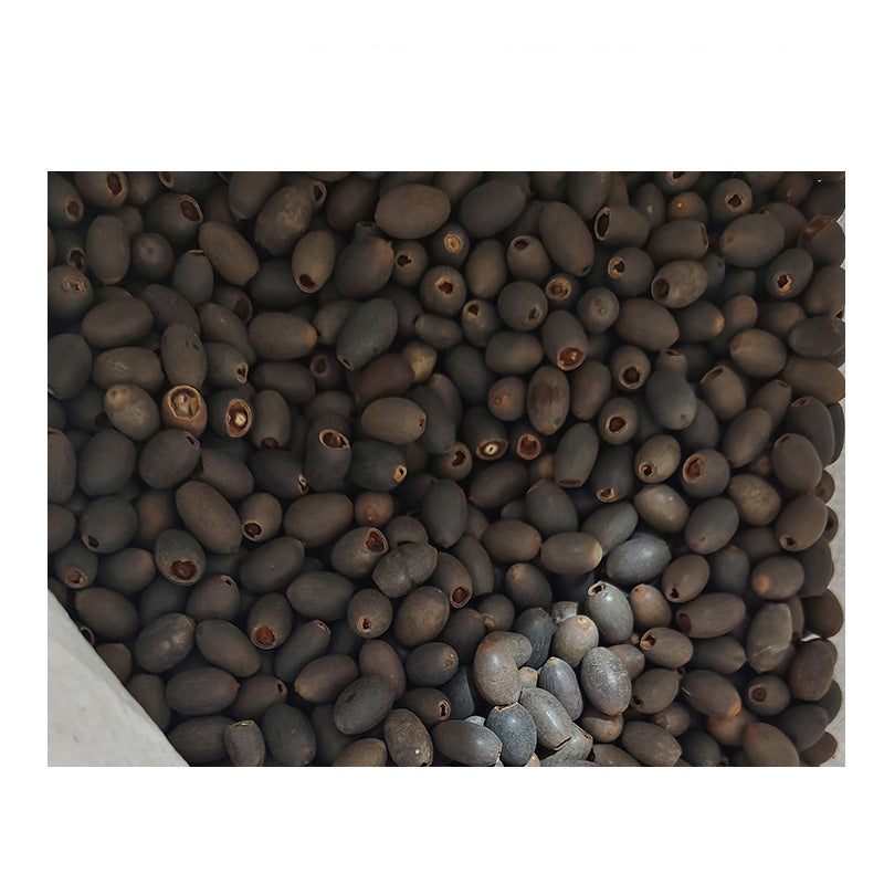 Lotus Flower Seeds  ( 10 seeds ) - Basic Farm House