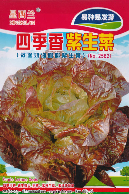 Merveille of Four Seasons Lettuce Vegetable Seeds ( 2000 seeds ) - Basic Farm House