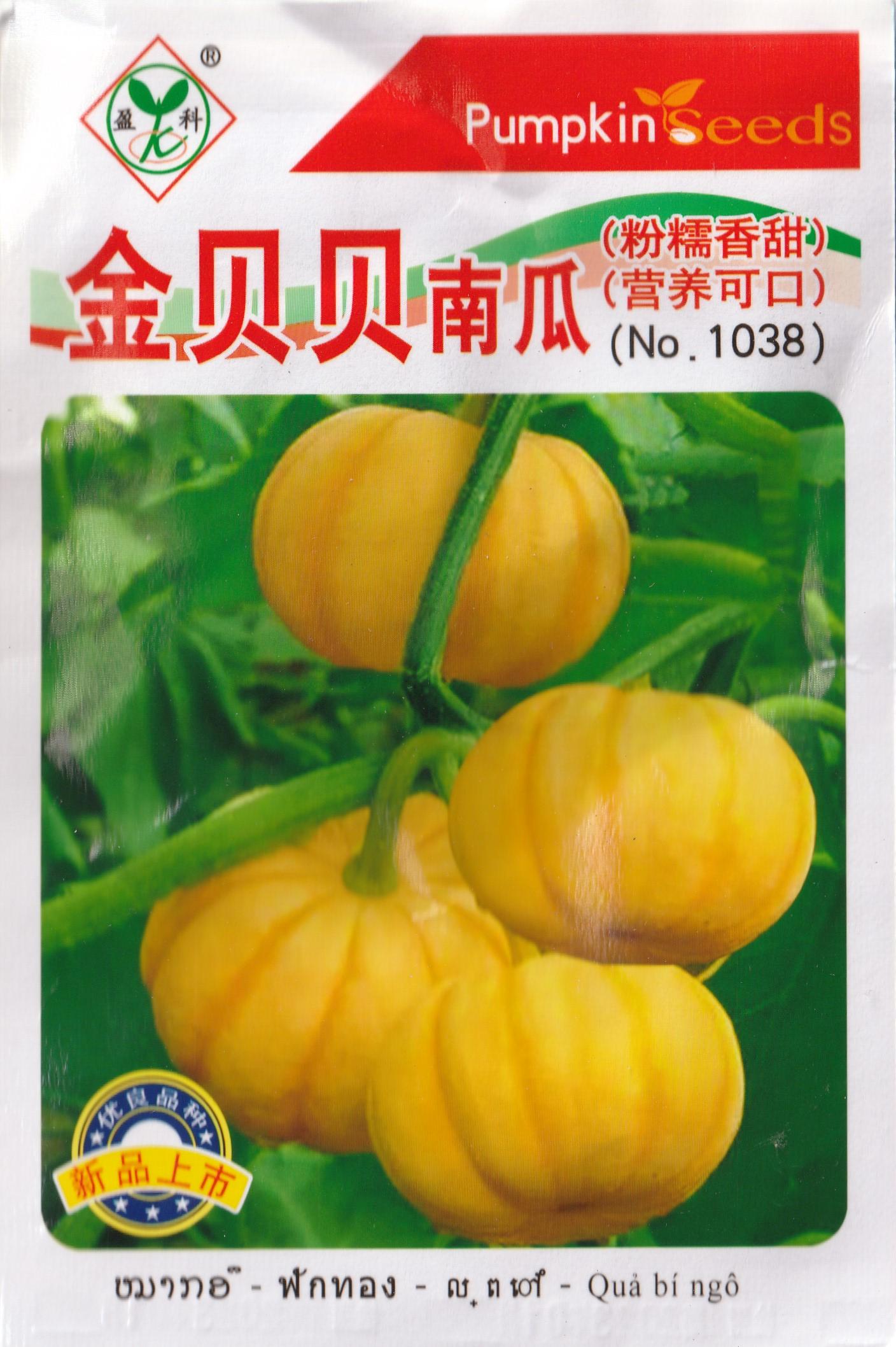Hybrid Mini Gold Pumpkin Vegetable Seeds ( 5 seeds ) - Basic Farm House