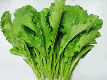 Extreme Pack Bok Choy Vegetable Seeds  ( 5000 seeds ) - Basic Farm House