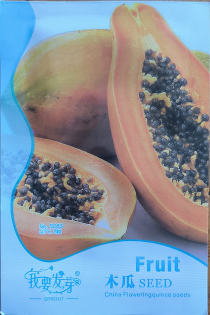 Papaya Fruit Vegetable Seeds ( 8 seeds ) - Basic Farm House