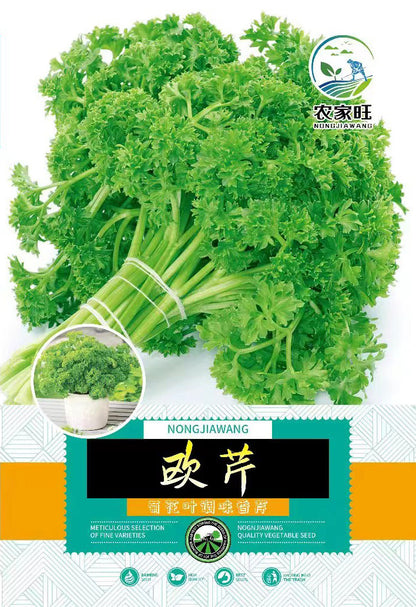French Parsley Vegetable Seeds (1000 Seeds) – High-Yield, Fresh Herb Gardening | Basic Farm House