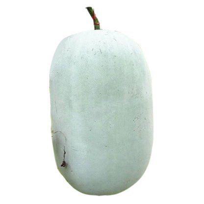 Pink Winter Melon Seeds 30pcs High Germination | Easy to Grow Healthy Winter Melon Vegetable Seeds