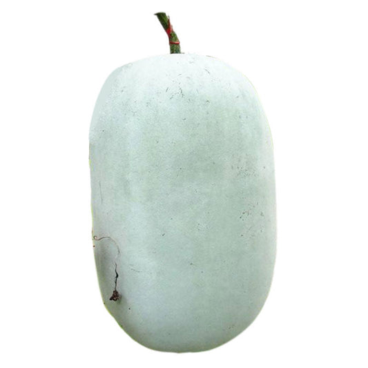 Pink Winter Melon Seeds 30pcs High Germination | Easy to Grow Healthy Winter Melon Vegetable Seeds