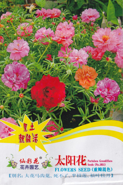 Rainbow Portulaca Grandiflora Flower Seeds  ( 2000 seeds ) - Basic Farm House