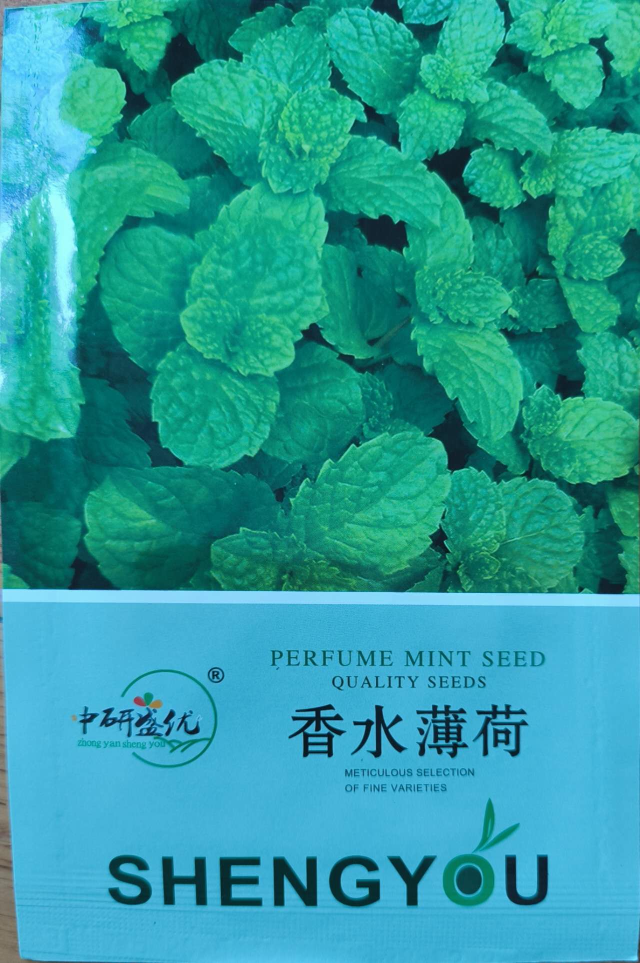 Premium Pack Natural Mint Herb Seeds ( 900 seeds ) - Basic Farm House