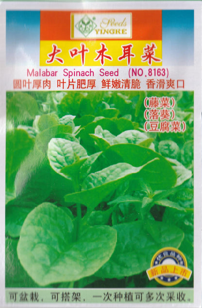 Premium Pack Chinese Big Green Leaf Alugbati Malabar Spinach Vegetable Seeds ( 180 seeds ) - Basic Farm House