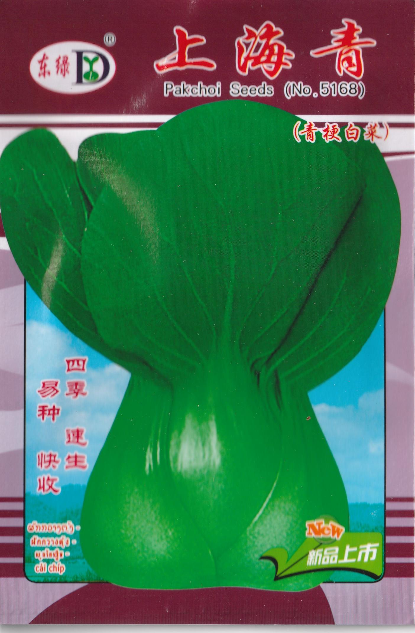 PREMIUM PACK Bok Choy Vegetable Seeds (2500 seeds) - Basic Farm House
