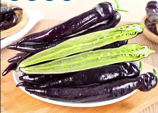 Purple Shiny Beauty Cow Pepper Chili Vegetable Seeds ( 150 seeds ) - Basic Farm House