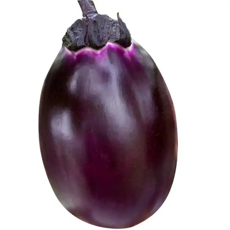 Purple Oval  Eggplant Vegetable Seeds ( 100 seeds ) - Basic Farm House