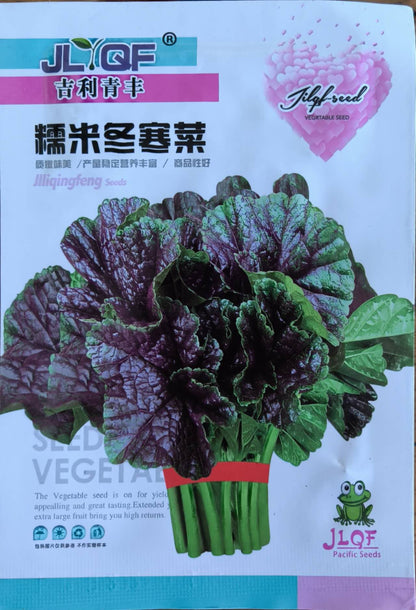 Purple Green Korean Curled Mallow Vegetable Seeds ( 500 seeds ) - Basic Farm House
