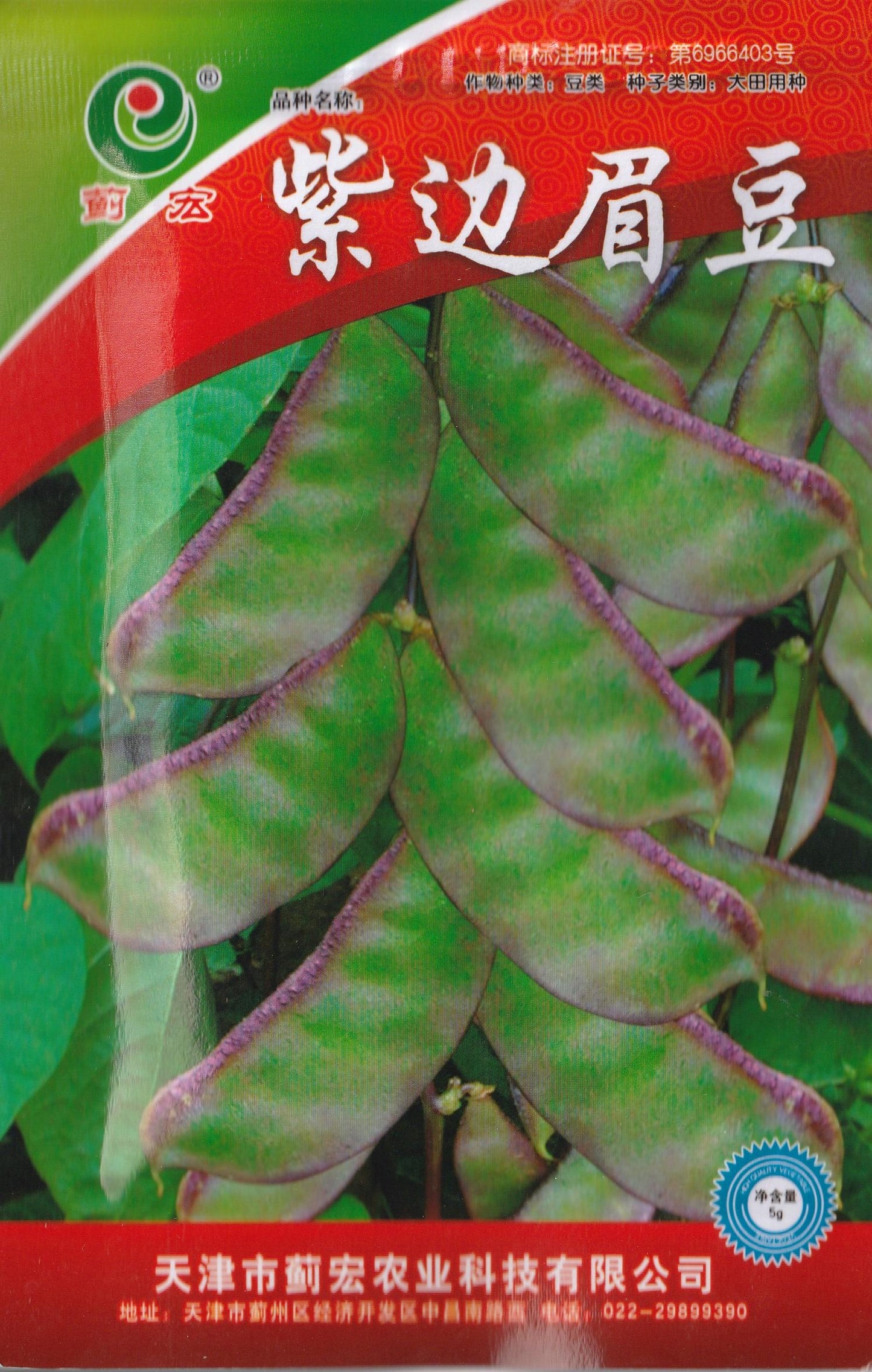 Hyacinth Purple Green Bataw Bitsuwelas Bean Vegetable Seeds (10 seeds) - Basic Farm House