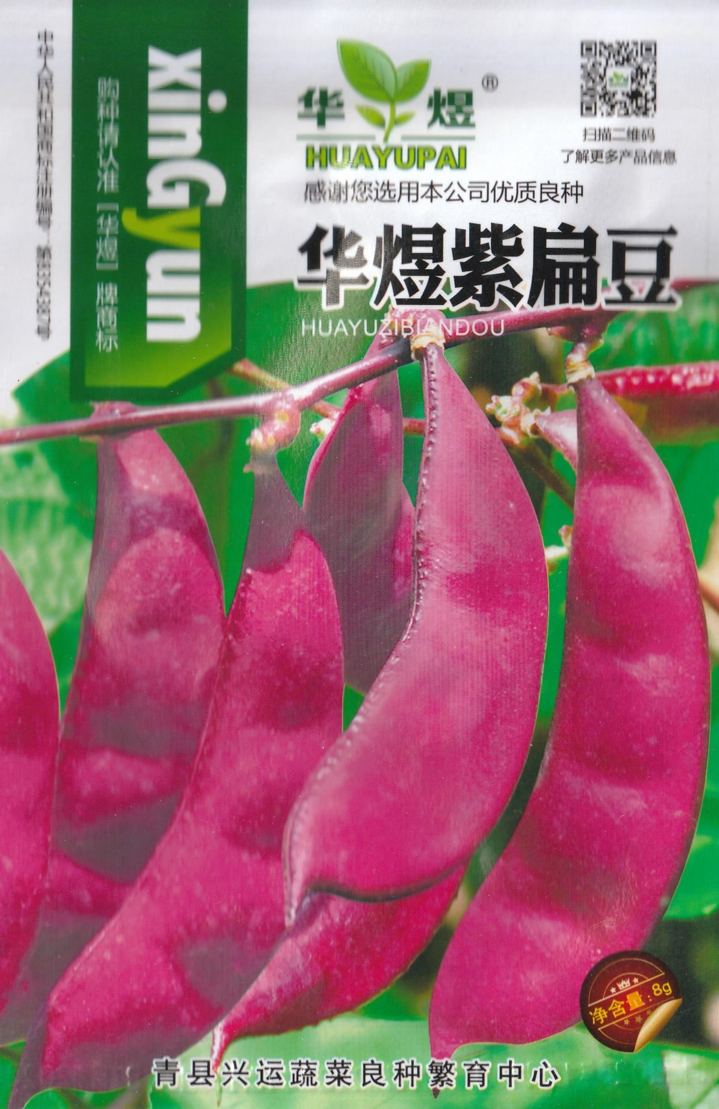 Hyacinth Purple Bataw Bitsuwelas Bean Vegetable Seeds (10 seeds) - Basic Farm House