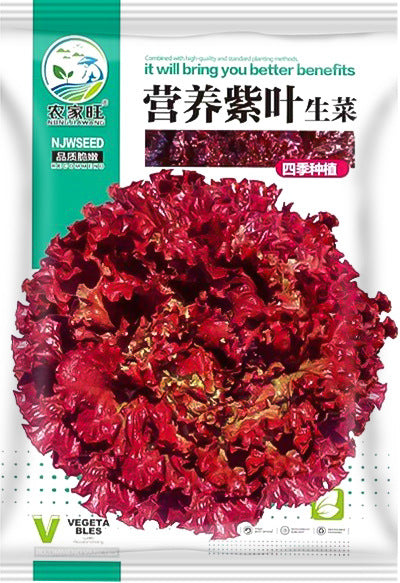 Purple Leaf Lettuce Vegetable Seeds (1000 seeds) - Basic Farm House