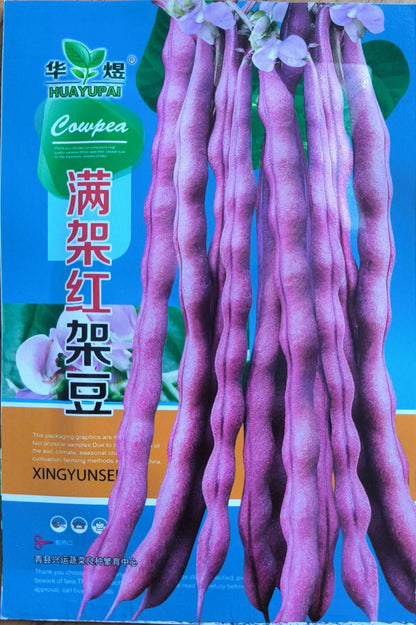 Royal Purple Pod Beans Sitao Vegetable Seeds (30 seeds) - Basic Farm House