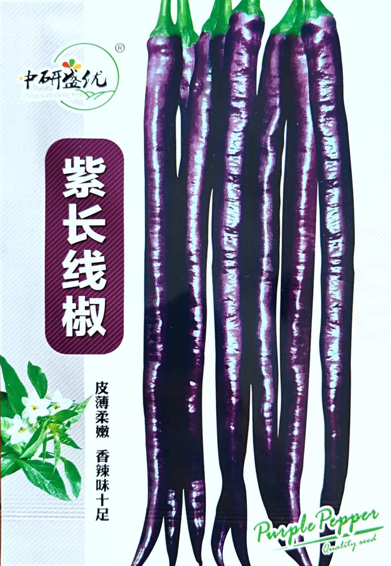 Purple Spicy Long Chili Pepper Vegetable Seeds ( 100 seeds ) - Basic Farm House
