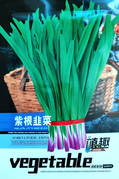 Chinese Purple Stem Chives Kuchay Vegetable Seeds (1200 seeds) - Basic Farm House