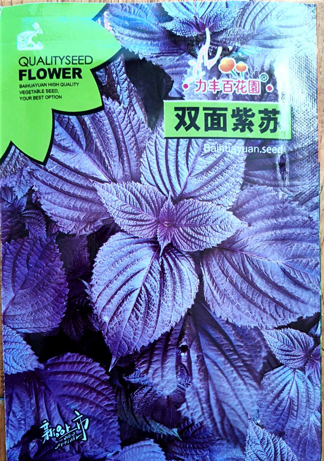 Rare Korean Perilla Shiso Purple Green Vegetable Seeds (200 seeds) - Basic Farm House