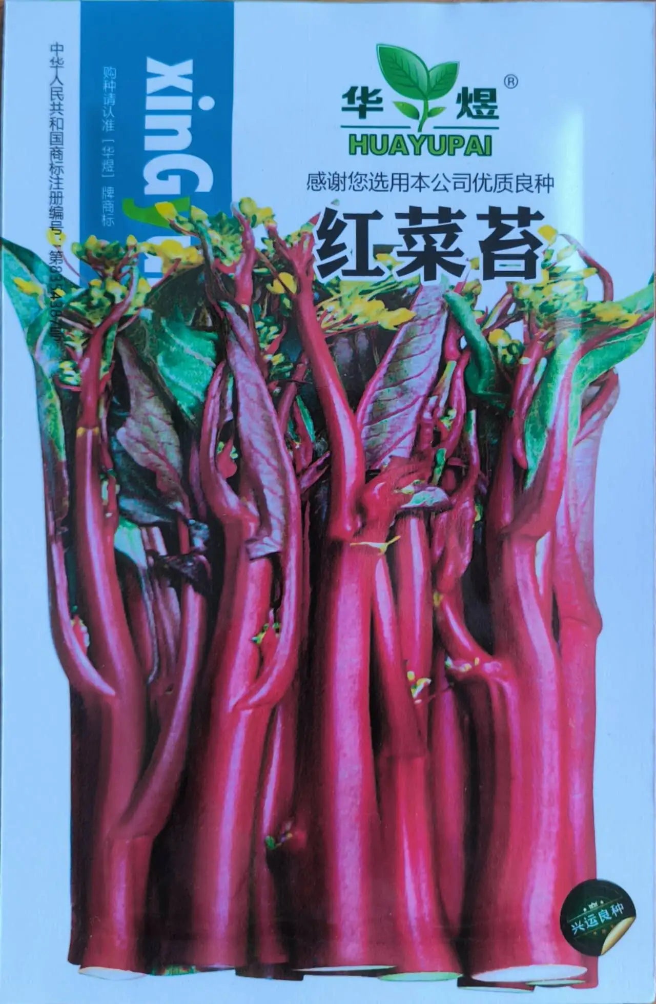 Red Choy Sum Vegetable Seeds (800 seeds) - Basic Farm House