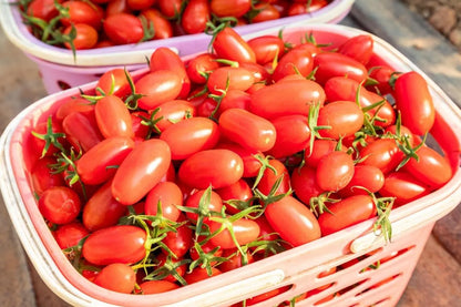 Red Pear Cherry Tomato Vegetable Seeds ( 100 seeds ) - Basic Farm House