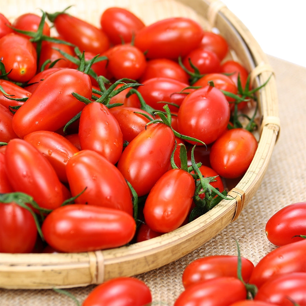 Red Pear Cherry Tomato Vegetable Seeds ( 100 seeds ) - Basic Farm House