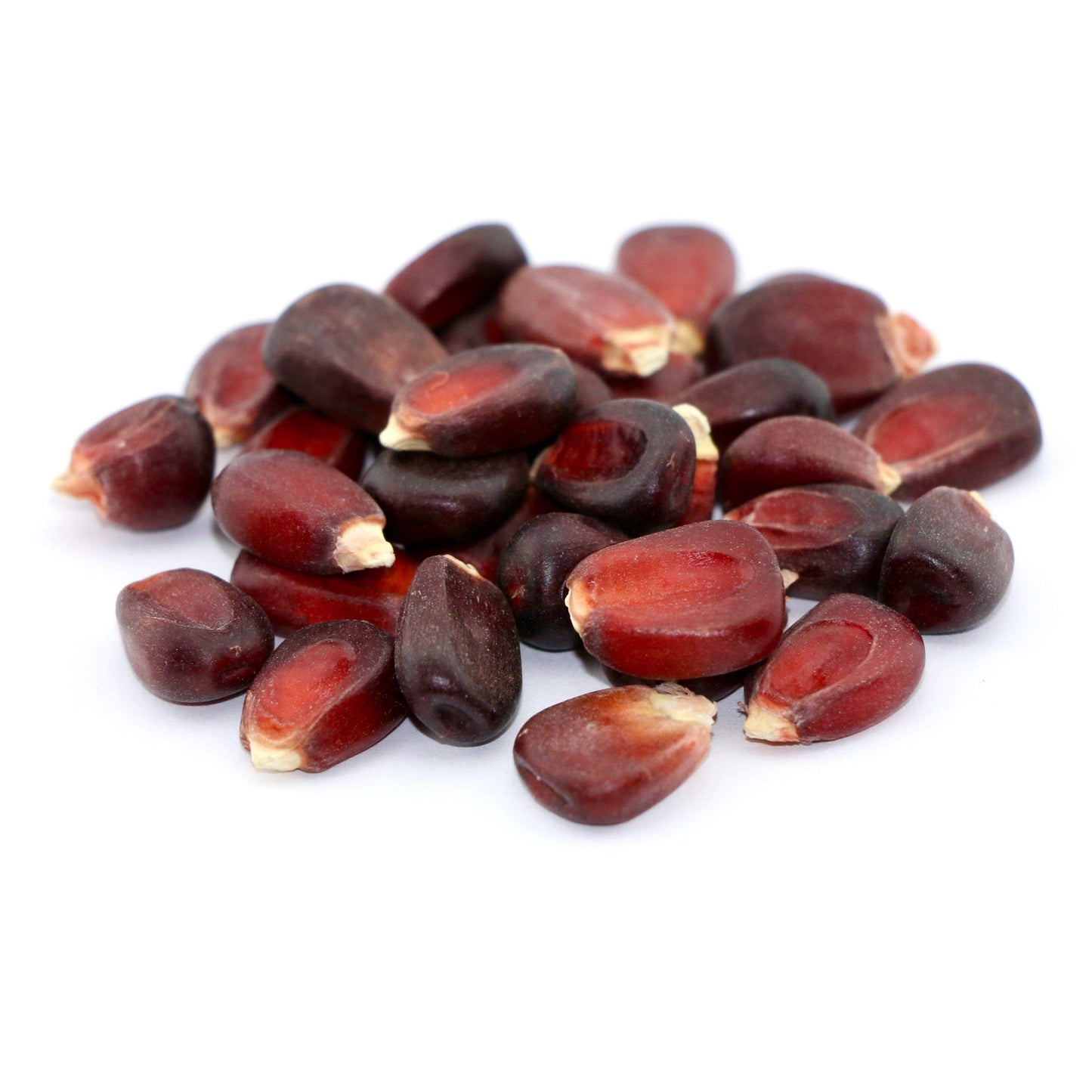 Sweet Red Corn Mais Vegetable Seeds (30 seeds) - Basic Farm House